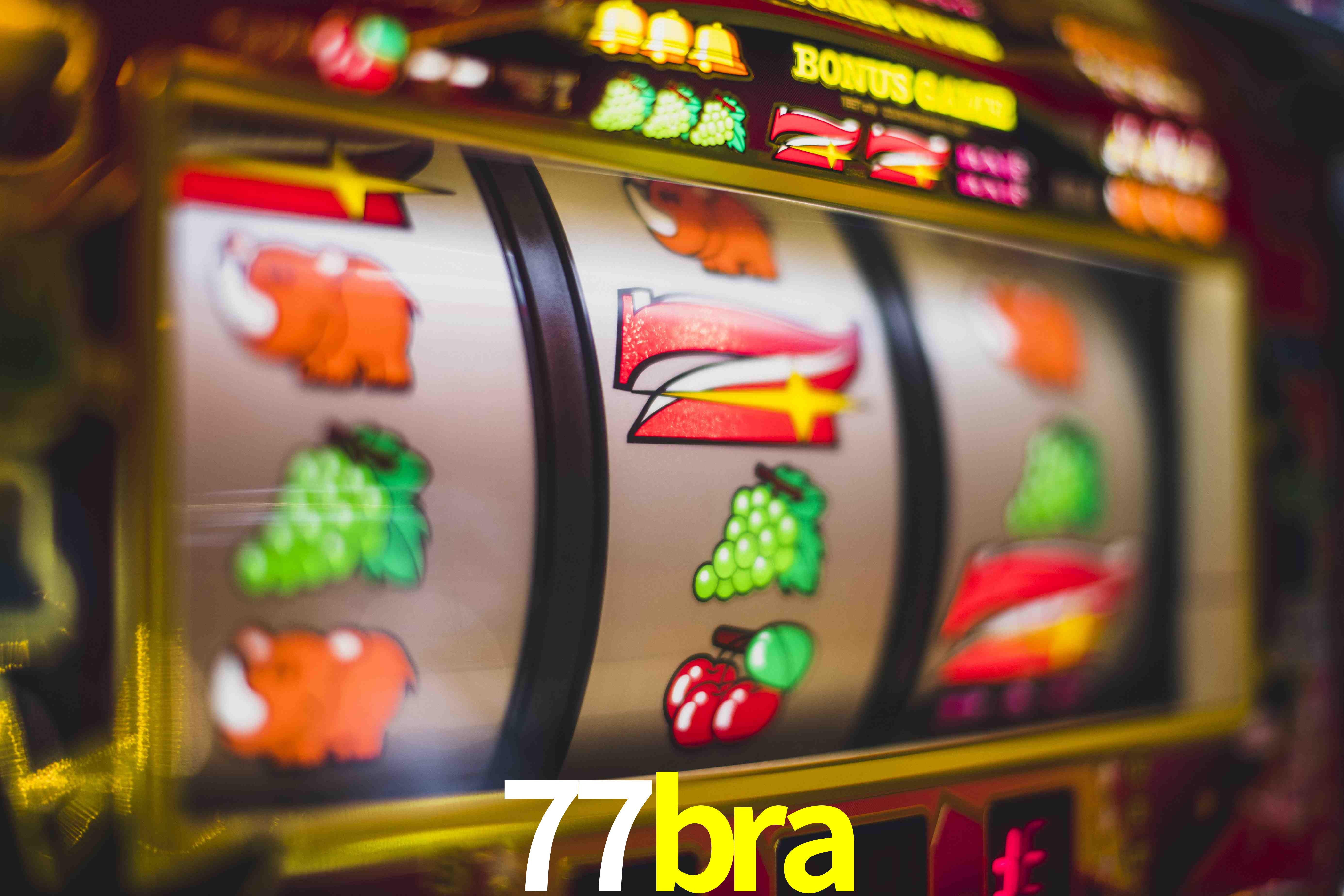 Statistics 77bra